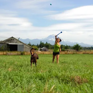 Chuckit! Sport Launcher - Small to Large Balls lifestyle with brown dog chasing ball