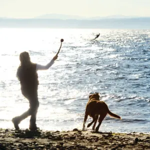 Chuckit! Sport Launcher - Small to Large Balls lifestyle on the beach