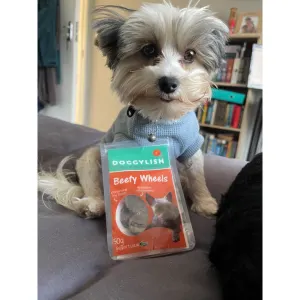 Doggylish Beefy Wheels Dog lifestyle with yorkie