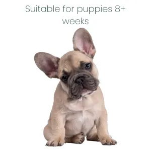 Marltons Two-In-One Moisturising Shampoo for Dogs 250ml safe for puppies of 8+ weeks