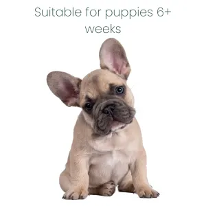 Marltons Mild & Gentle Puppy Shampoo 250ml safe on 6+ week old puppies
