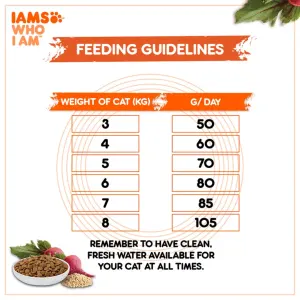 Iams Adult Chicken and Salmon Cat Food feeding guidelines