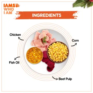 Iams Adult Chicken and Salmon Cat Food main ingredients