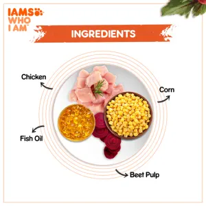 Iams Adult Chicken Cat Food ingredients