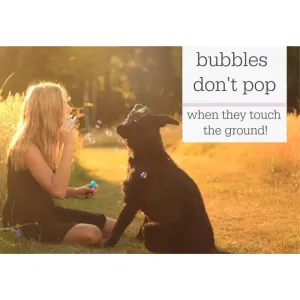 Pet Qwerks Doggy Peanut Butter IncrediBubbles don't pop when hitting the ground