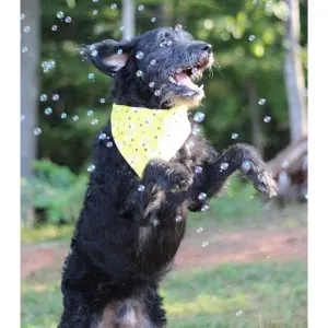 Pet Qwerks Doggy Peanut Butter IncrediBubbles lifestyle with black dog