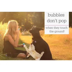 Pet Qwerks Kitty Catnip IncrediBubbles don't pop when touching the ground