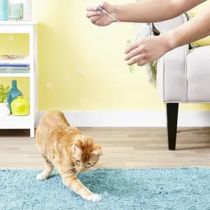 Pet Qwerks Kitty Catnip IncrediBubbles lifestyle with ginger cat and bubbles