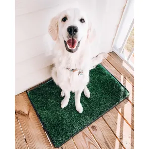 Wee-Wee Indoor Pet Potty Grass Patch For Dogs lifestyle with white dog
