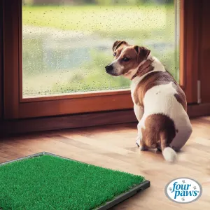 Wee-Wee Indoor Pet Potty Grass Patch For Dogs lifestyle with dog inside