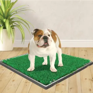 Wee-Wee Premium Pet Potty Grass Replacement Patch For Dogs lifestyle with bulldog