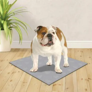 Wee-Wee Premium Patch Washable Dog Pee Pads with white and brown bulldog