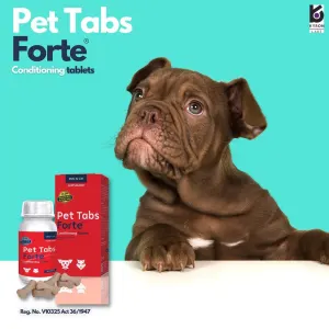 Pet Tabs Forte Advanced with brown puppy