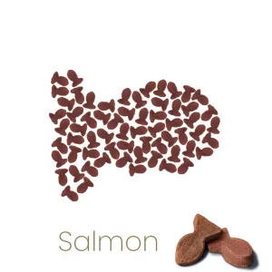 Meow More Cat Snacks salmon flavour fish shaped