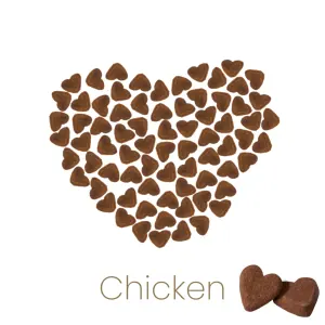 Meow More Cat Snacks chicken heart shaped