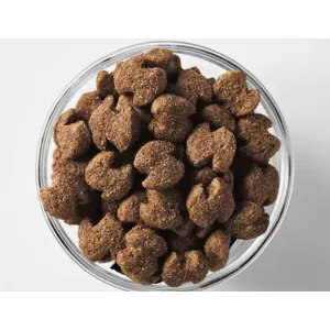 Eukanuba Adult Large Breed Dog Food actual pellets