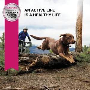 Eukanuba Adult Large Breed Dog Food active life is a healthy life
