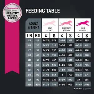 Eukanuba Adult Large Breed Lamb Rice Dog Food ePETstore