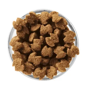 Eukanuba Adult Medium Breed Dog Food actual pellets