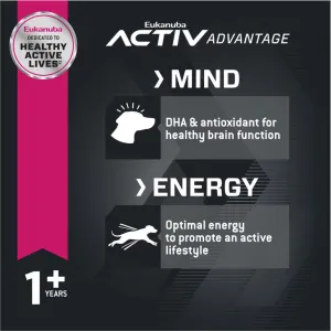 Eukanuba Adult Small Breed Dog Food active mind and energy