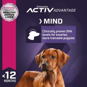 Eukanuba Large Breed Puppy Food active mind