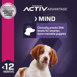 Eukanuba Medium Breed Puppy Food active mind