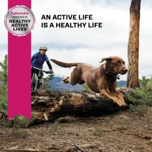 Eukanuba Senior Large Breed Dog Food maintain an active and healthy life