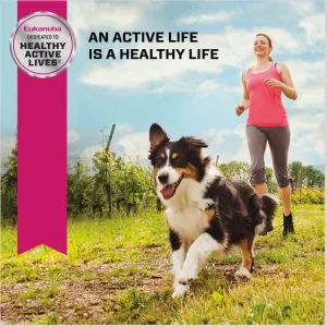 Eukanuba Senior Small Breed Dog Food active and healthy life