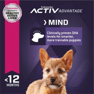 Eukanuba Small Breed Puppy Food active mind
