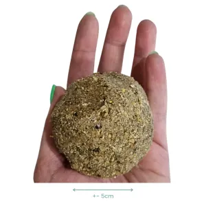 Marltons Suet Balls With Mealworms For Wild Birds ball size compariso
