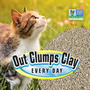 SmartCat Corn and Wheat Clumping Litter for everyday use