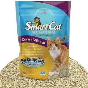 SmartCat Corn and Wheat Clumping Litter actual litter look