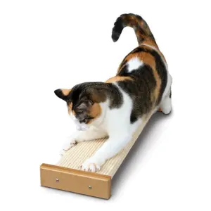 SmartCat Bootsie's Combination Cat Scratcher with cat