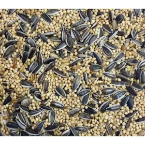 Westermans Bird Seed Cockatiel Mix actual product