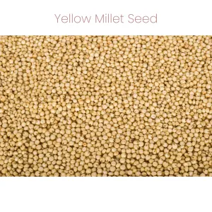 Westermans Bird Seed Cockatiel Mix yellow millet seed