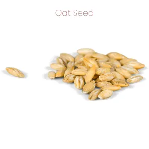 Westermans Bird Seed Cockatiel Mix oat seed