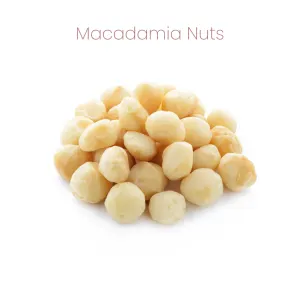 Westermans Bird Parrot Healthy Mix macadamia nuts