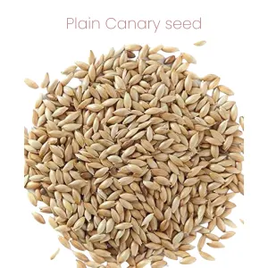 Westermans Bird Seed Canary Plain Mix with plain canary seed
