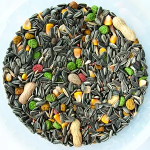 Westermans Bird Parrot Mix actual mix in bucket