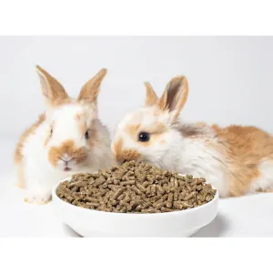 Westermans Small Animal Rabbit Pellets with rabbits next to bowl