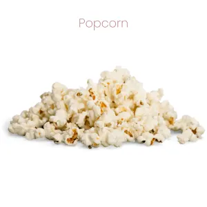 Westermans Bird Seed Tropical Parrot wwith popcorn