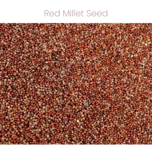 Westermans Bird Budgie Seed with red millet seed