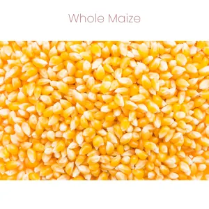 Westermans Small Animal Hamster Mix with whole maize