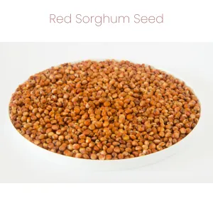 Westermans Small Animal Hamster Mix with red sorghum