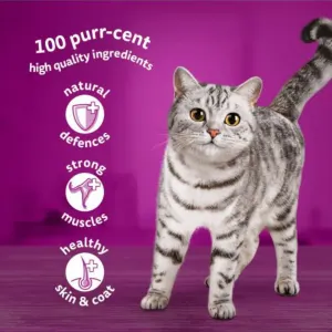 Whiskas Wet Adult Cat Food In Jelly - Mixed Menu Fish & Meat Selection quality ingredients