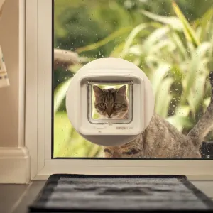 Sureflap Microchip Dualscan Cat Flap lifestyle with cat and door installed in glass