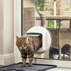 Sureflap Microchip Dualscan Cat Flap lifestyle with cat coming through the door