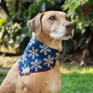 Christmas Snow Flakes Bandana Lifestyle with brown dog