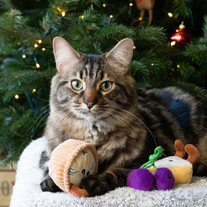Classic Cheeseboard Trio For Cats lifestyle with cat