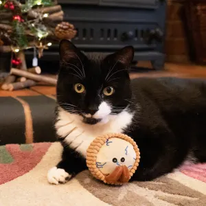 Classic Cheeseboard Trio For Cats lifestyle with black and white cat and the Stilton